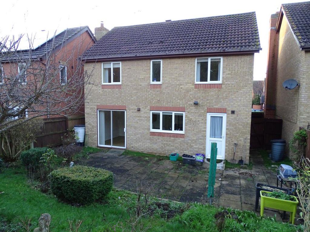 Rear Elevation