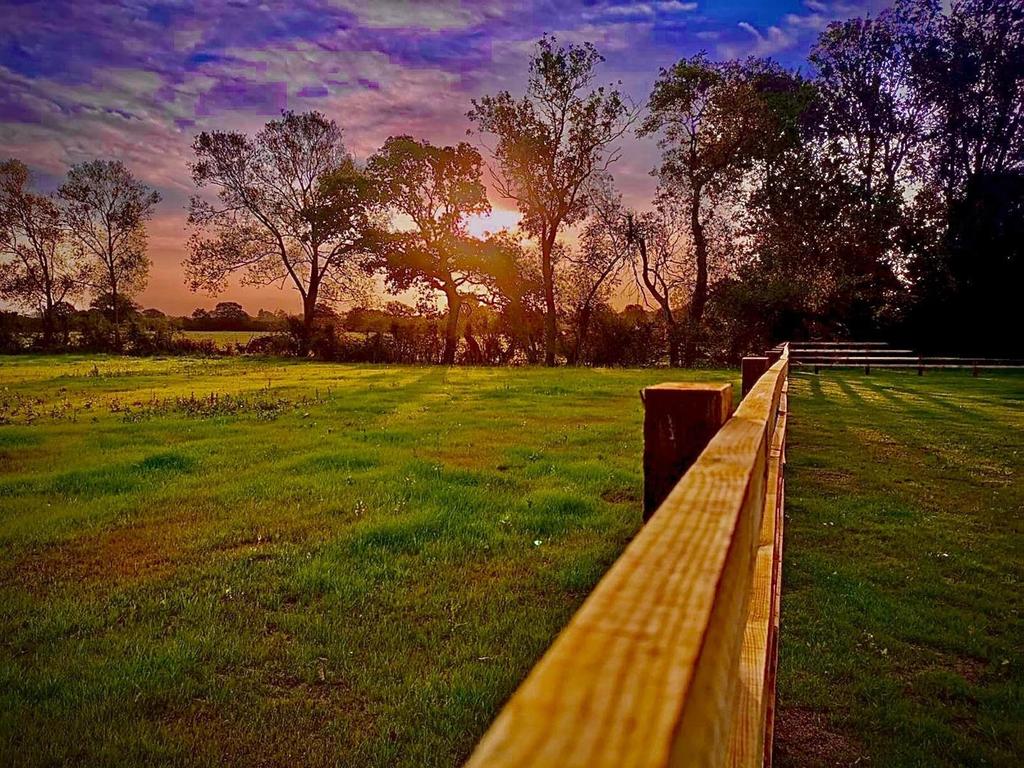 Grounds