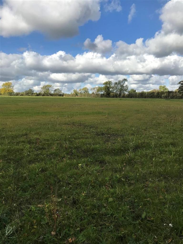 Grounds