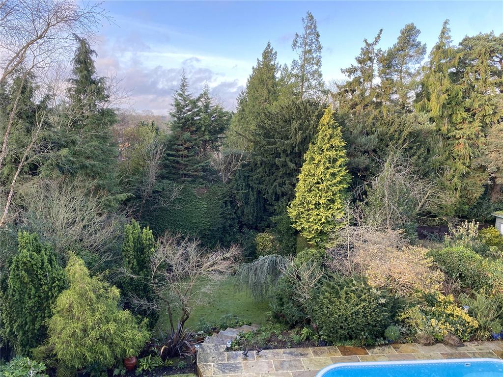 Garden/View