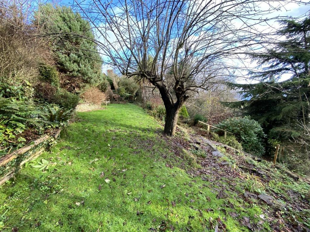 Garden 2