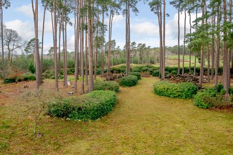 Marchwood Dukes Covert, Bagshot, GU19 5HU