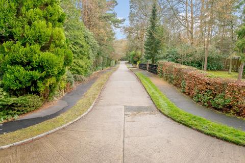 Marchwood Dukes Covert, Bagshot, GU19 5HU