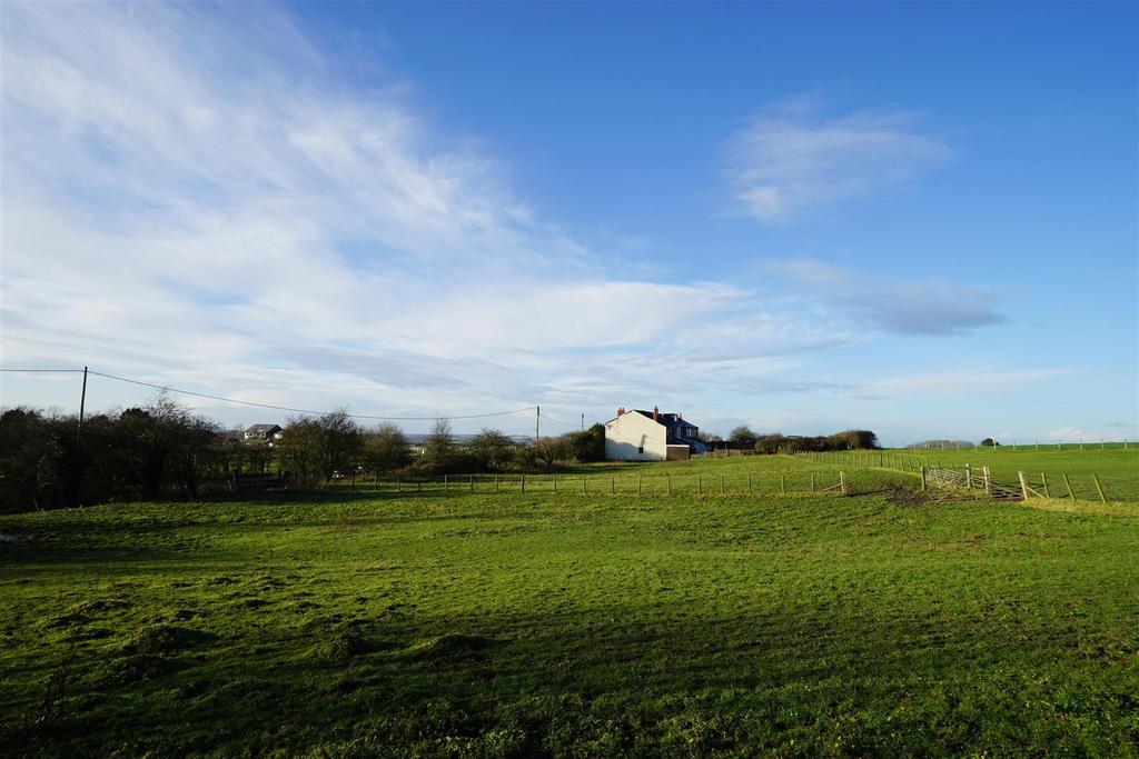 DSC03978a.jpg