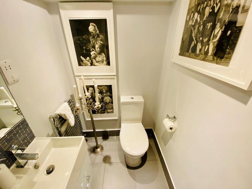 Swan Toilet.jpg