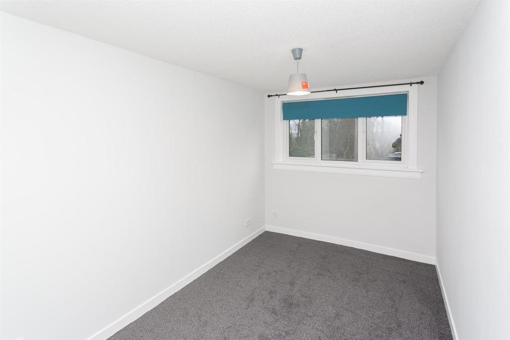 IMG 6381.jpg