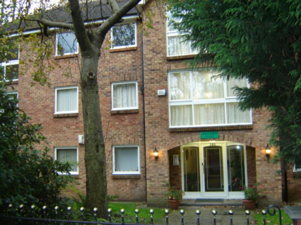 Main Image