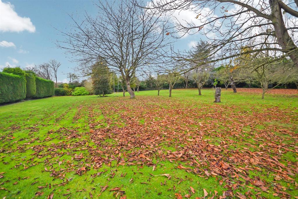 Rear Orchard (2).JPG