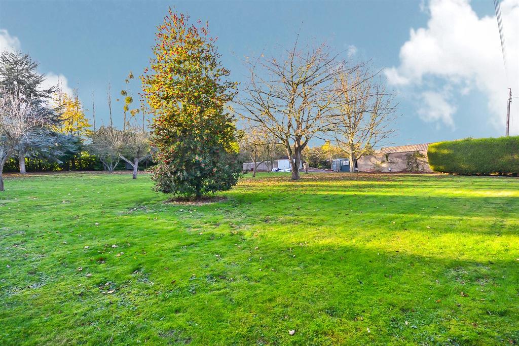 Rear Orchard.JPG
