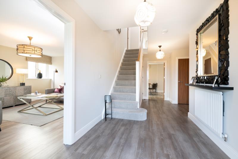 Show Home