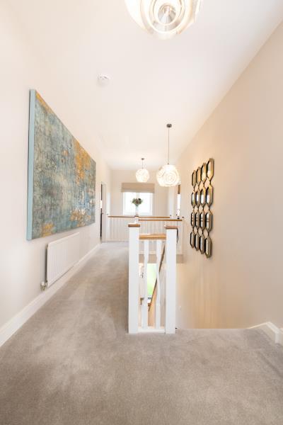 Show Home
