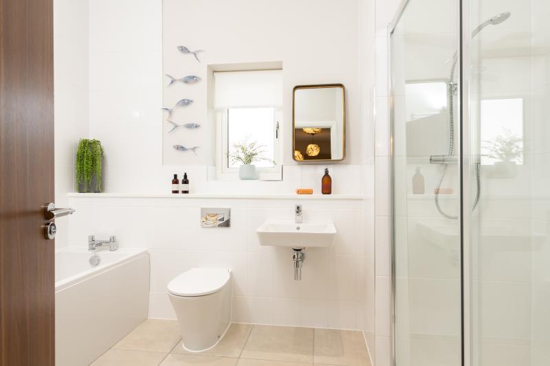 Show Home
