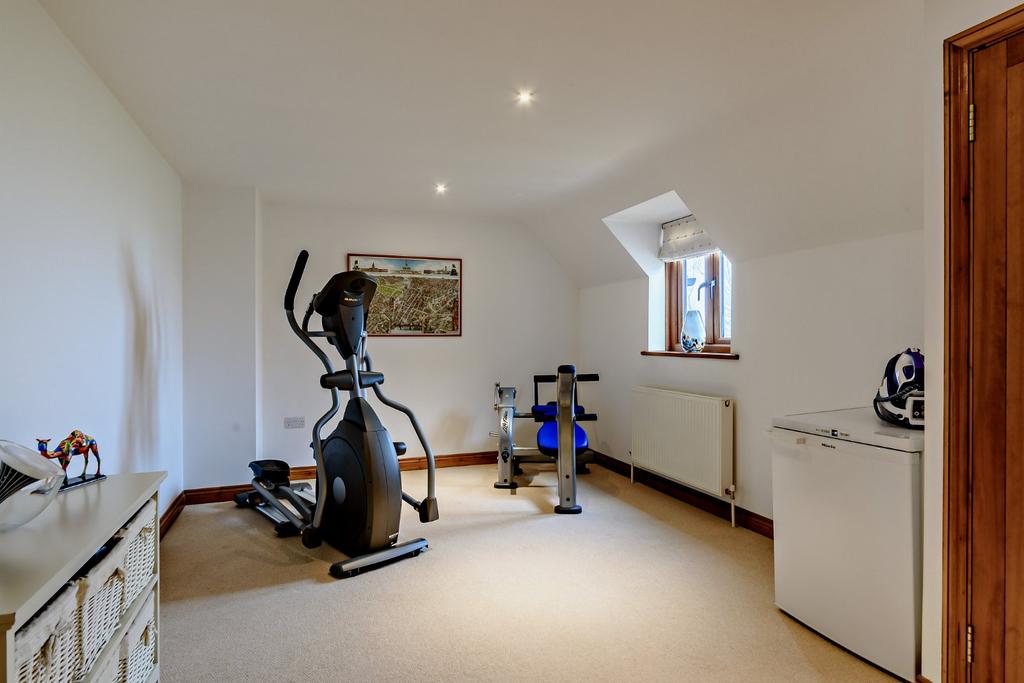 Bedroom/Gym