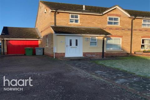 3 bedroom semi-detached house to rent - Norwich