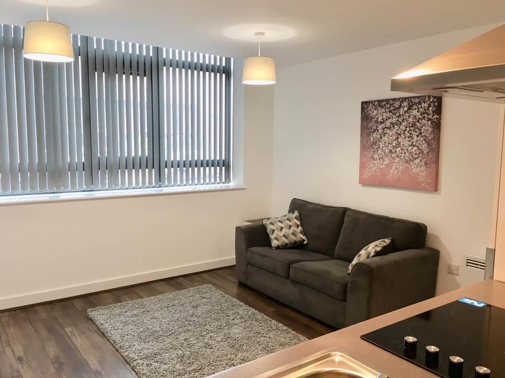 Cotton Lofts, Fabrick Square, 1 Lombard street 1 bed apartment £600