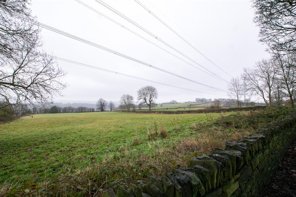 Surrounding Fields