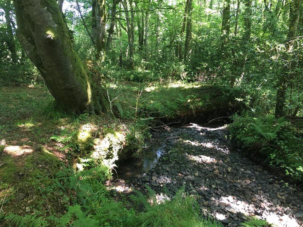 Img 2067.jpg
