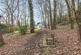 Private Woodland