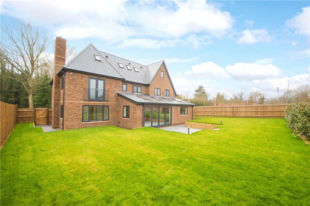 Rear Of Property