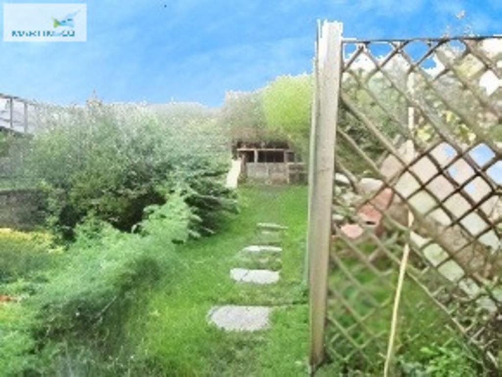 21eead45-garden (2)