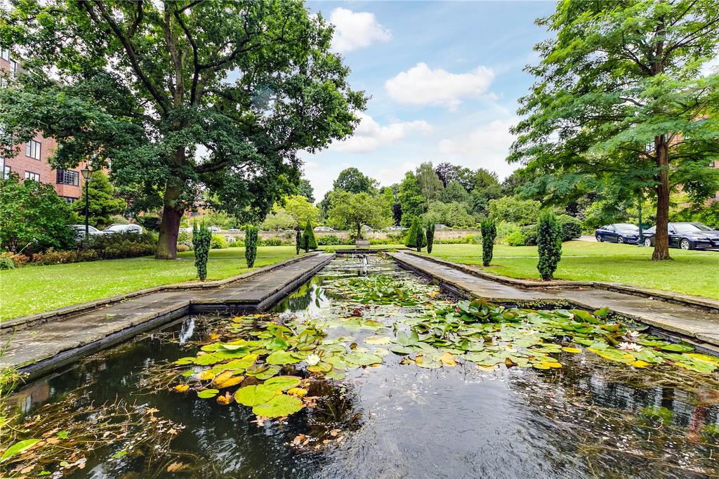 Pond
