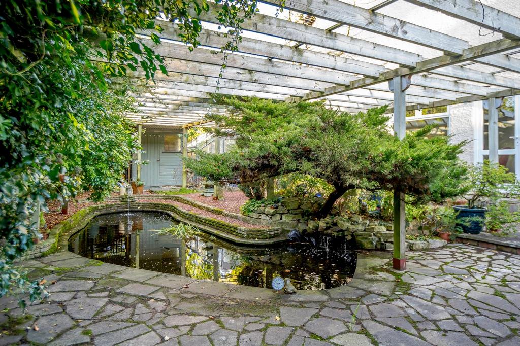 Pond