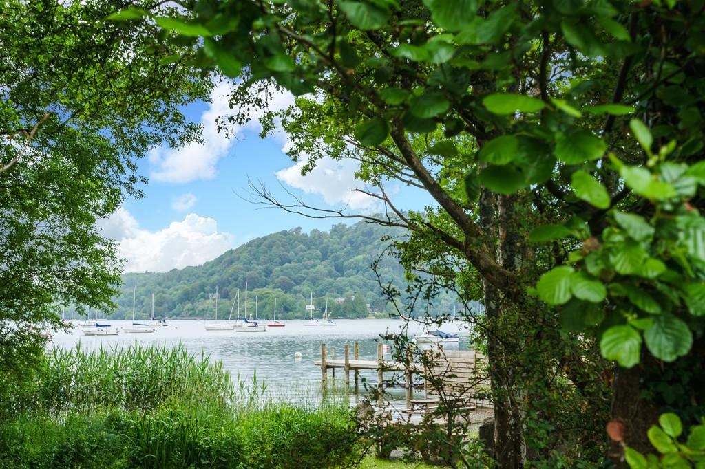 View from Picnic Area