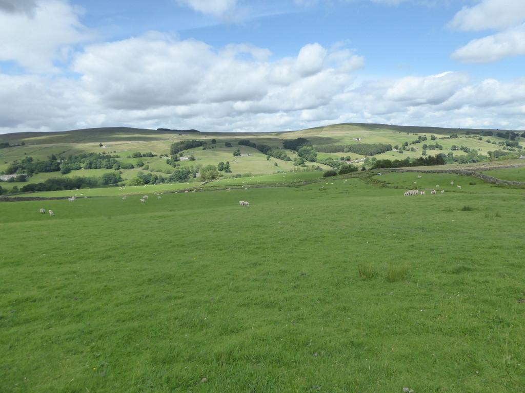 Land at High Rowantree Farm, St Johns Chapel Land for sale - £90,000