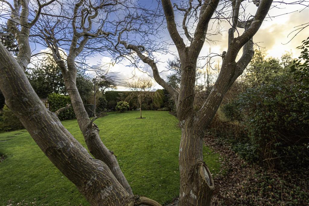 Garden 2.jpg