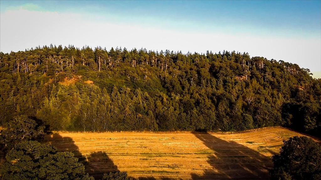 Nesscliffe Hill.jpg