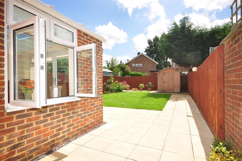 Rear Garden 21/01
