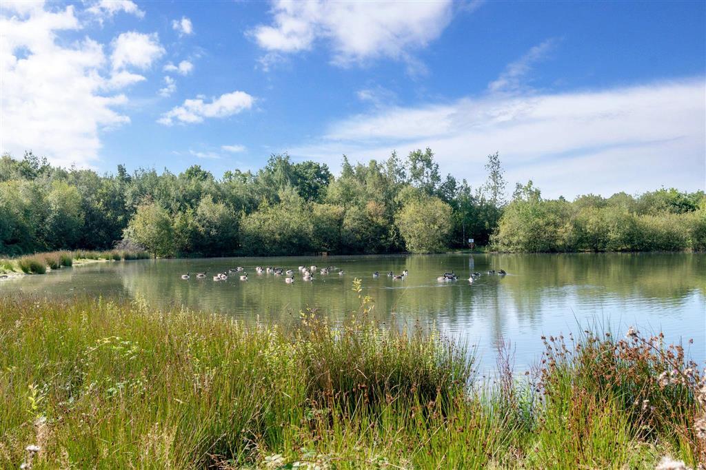 Lake 1
