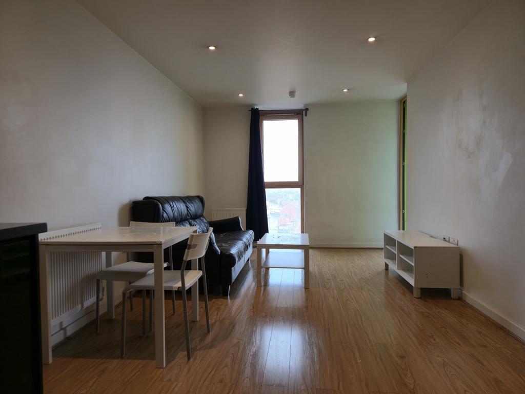 Modern 1 Bedroom 1 Bath Apartment In The Lemonade