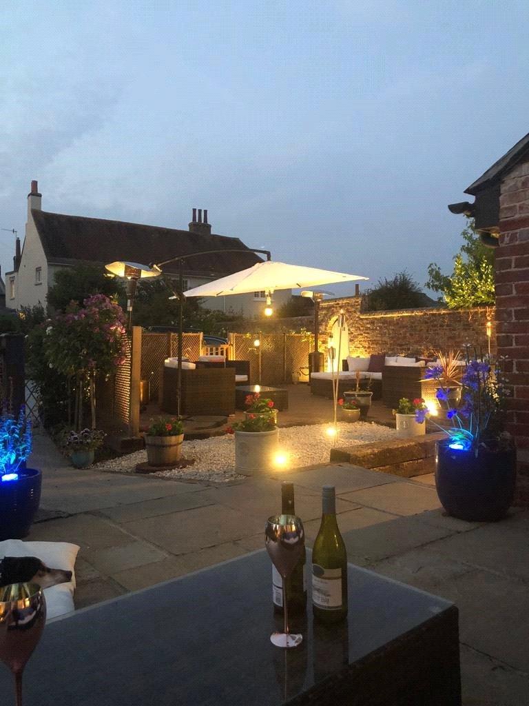 Garden at night