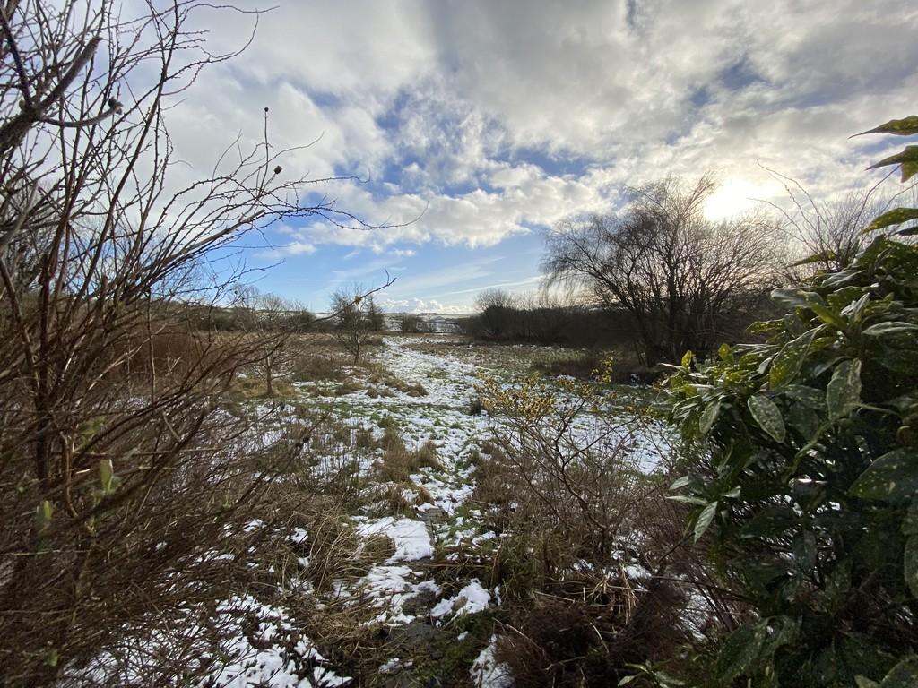 Rear views from garden