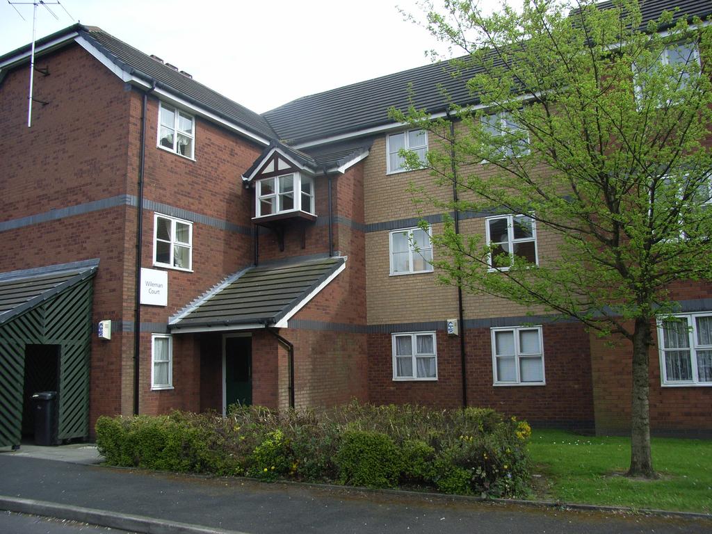 Wileman court