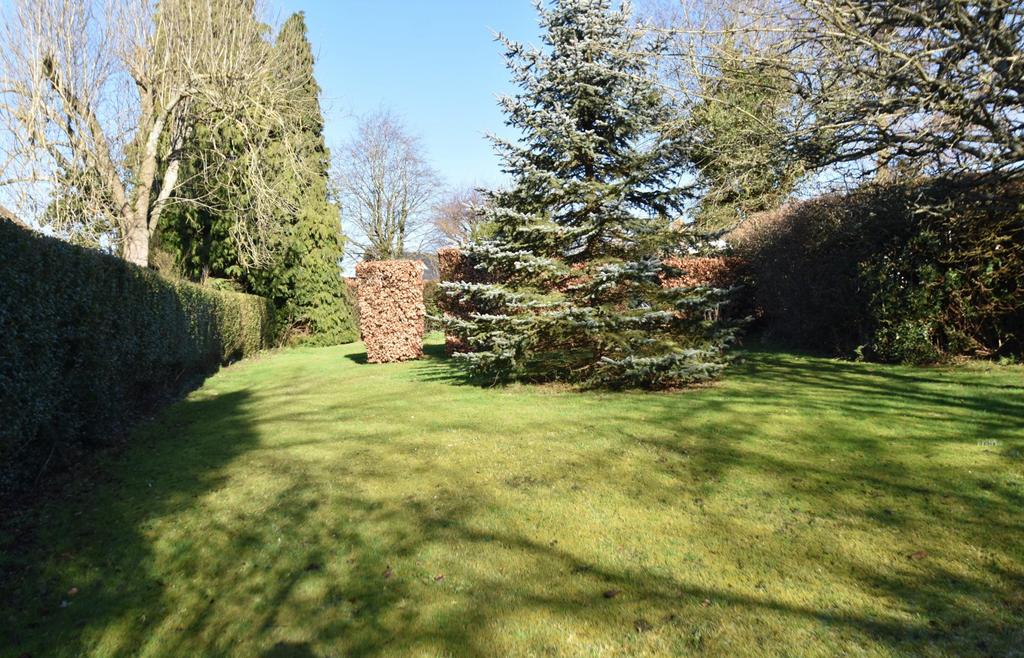 Middle garden