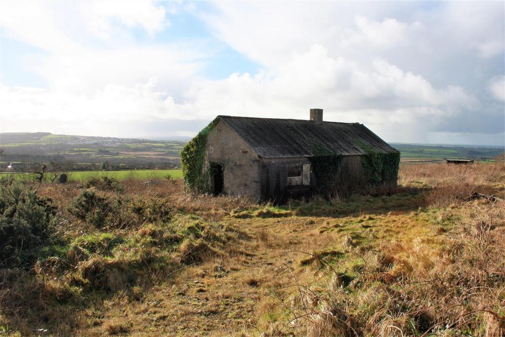 Img 7276.jpg