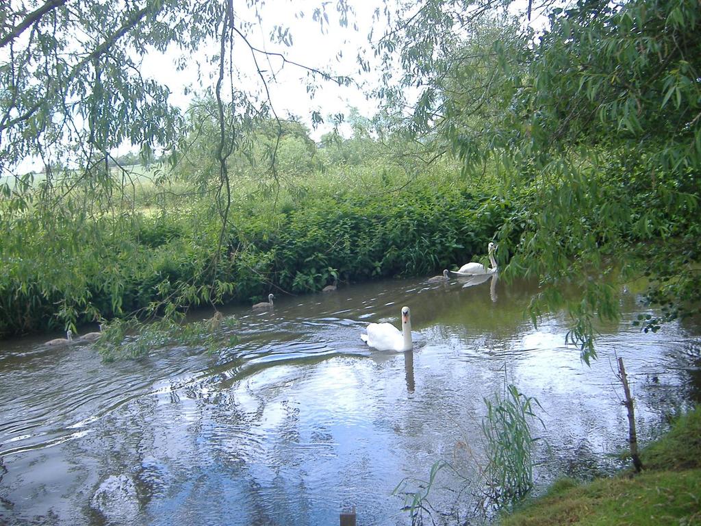 Dscf0177.jpg
