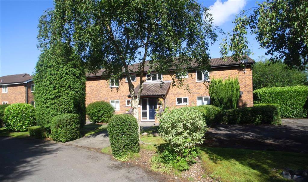 Pinewood Court, Brackenwood Mews... Studio £575 pcm (£133 pw)