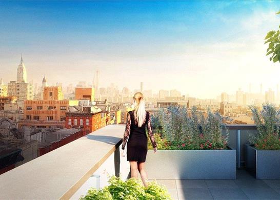 New York Property