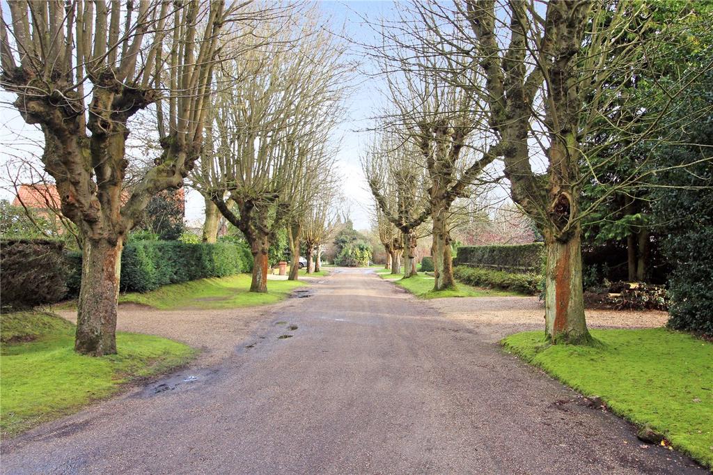 The Boulevard