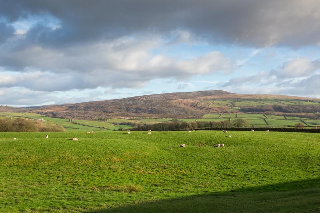 Surrounding Countryside