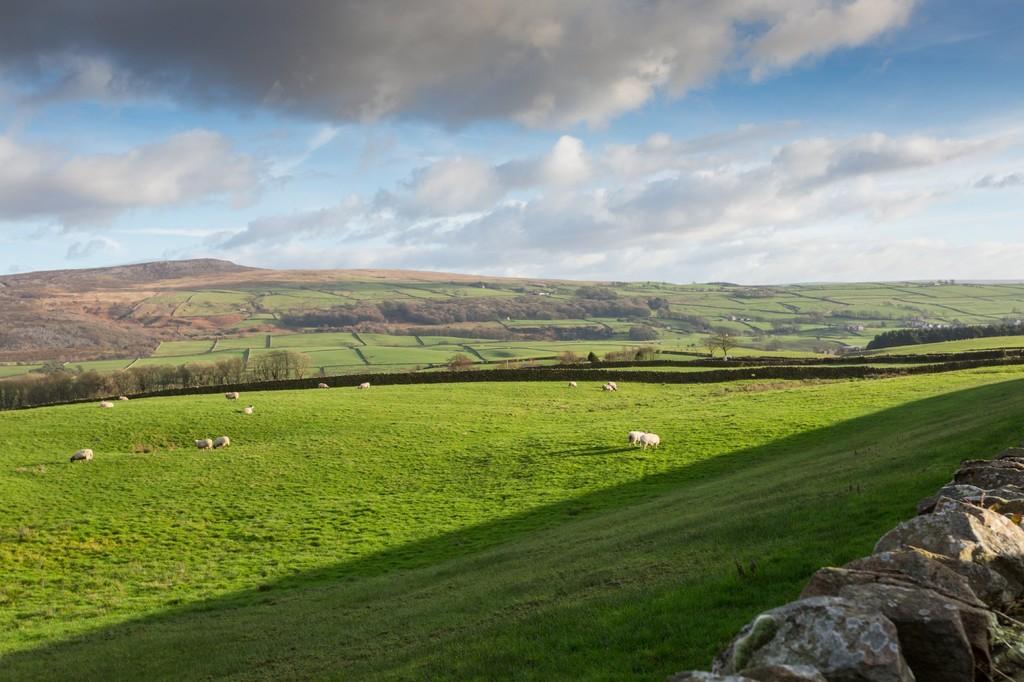 Surrounding Countryside