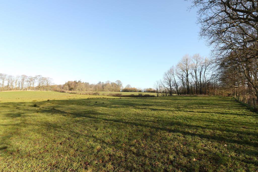 Ground level land shot (33) jpg