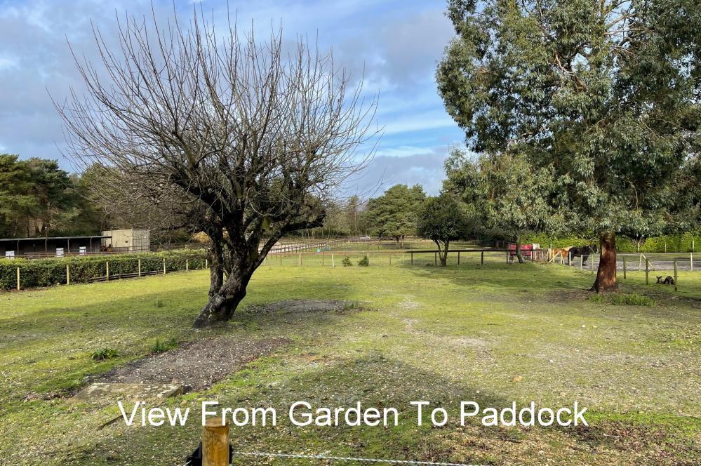 Boundary Lane, St Leonards, BH24 2SE 4 bed bungalow £650,000