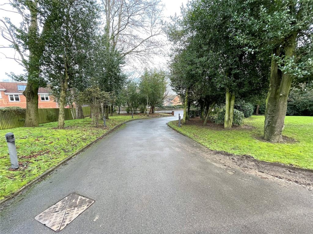 Driveway
