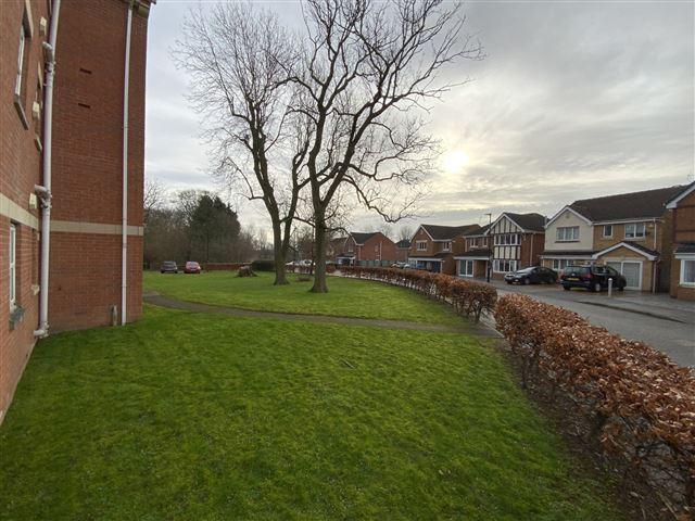 Communal garden