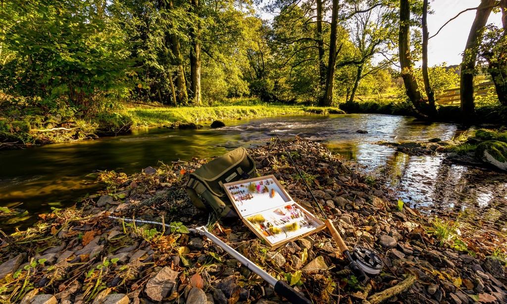 River Scene