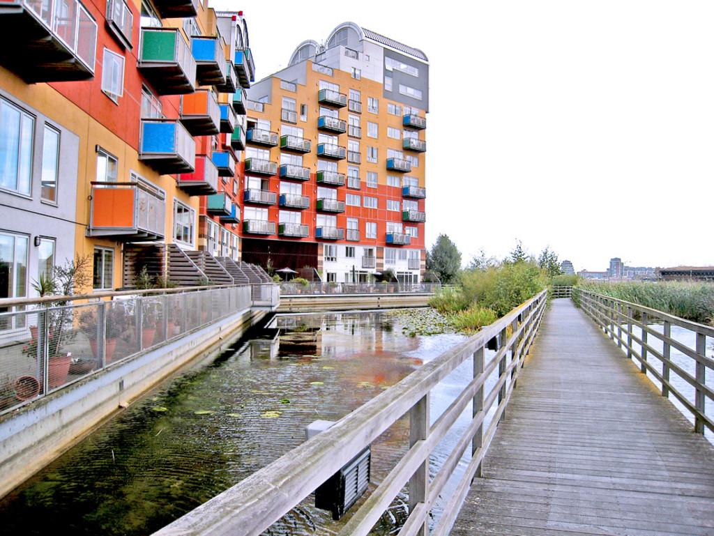 Millenium Village